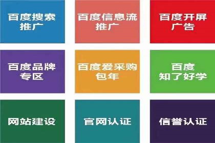 竞价广告的深度解析：以一知名品牌为例